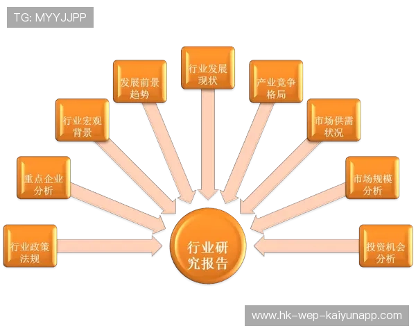 新闻中心提供权威评论与赛事深度分析,新闻中心提供权威评论与赛事深度分析报告 新闻中心提供权威评论与赛事深度分析,新闻中心提供权威评论与赛事深度分析报告